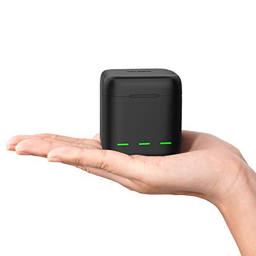 TELESIN Akku-Ladegerät für GoPro Hero 13 Black, Triple Slot USB-Ladekoffer mit Type-C Kabel Akkus Tragetasche voll kompatibel mit Original Go Pro 13 Zubehör von TELESIN