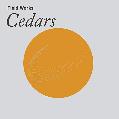 Cedars [Vinyl LP] von TEMPORARY RESIDE