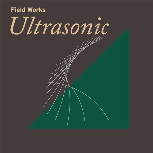 Field Works: Ultrasonic [Vinyl LP] von TEMPORARY RESIDE