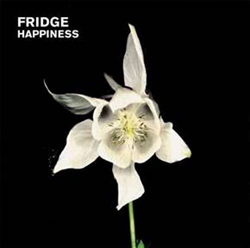 Happiness (Anniversary Edition) [Vinyl LP] von TEMPORARY RESIDE
