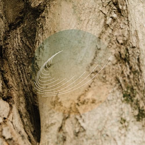 Maples,Ash,and Oaks: Cedars Instrumentals [Vinyl LP] von TEMPORARY RESIDE