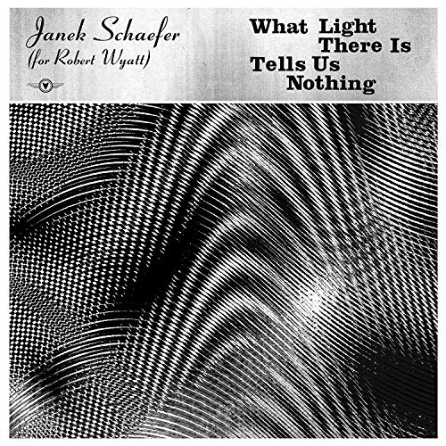 What Light There Is Tells Us Nothing [Vinyl LP] von TEMPORARY RESIDE