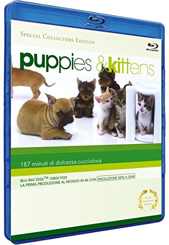 Puppies & kittens (special collector's edition) [Blu-ray] [IT Import] von TERMINAL VIDEO ITALIA SRL