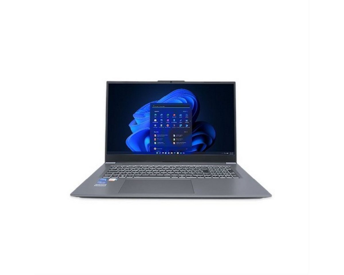 TERRA TERRA MOBILE 1717 i5-1235U W11P Business-Notebook (33.8 cm/13.3 Zoll, Intel Core-i5 i5-1235U, Iris, 512 GB SSD, Convertible Notebook, 2-in1, 16 GB RAM, Core i5, Touch-Display) von TERRA