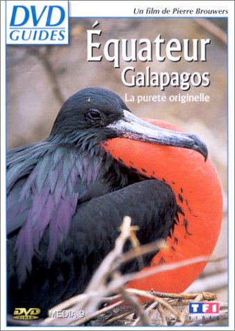 DVD Guides : Equateur / Galapagos, la pureté originelle [FR Import] von TF1 Vidéo
