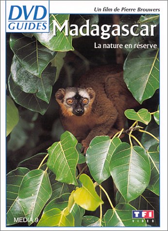 DVD Guides : Madagascar, la nature en réserve [FR Import] von TF1 Vidéo