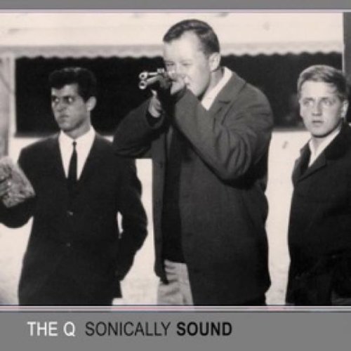 Sonically Sound [Vinyl LP] von TFA Dostmann