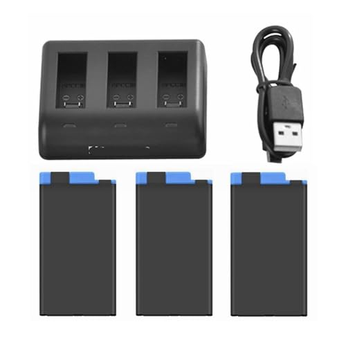 Kamera-Akku 2020 Volldekodier-Akku Und 3-Port-Ladegerät, Kompatibel Mit GoPro II, Kamera-Akku-Zubehör(3battery1charger) von TFNVYQQZ
