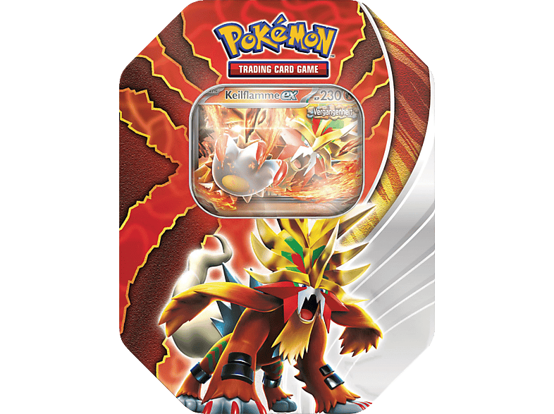POKEMON 45917 Pokémon TIN 116 DE Sammelkarten von POKEMON