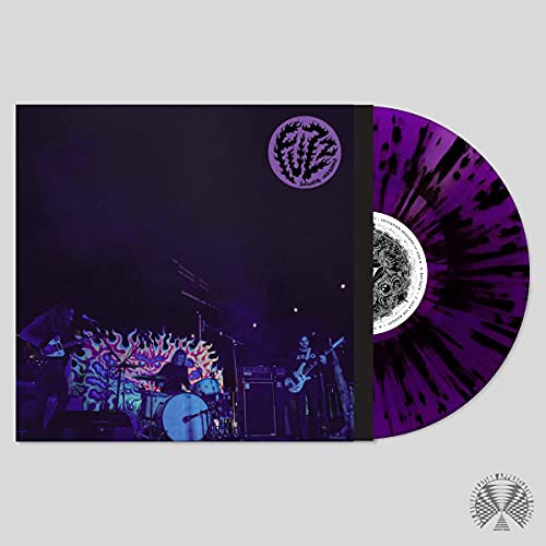 Levitation Sessions [Vinyl LP] von THE REVERBERATION