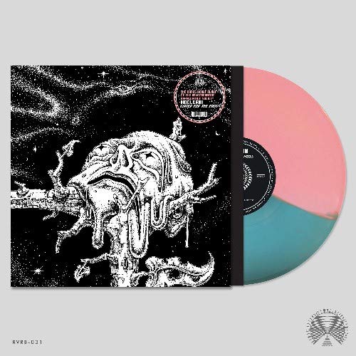 Water for the Frogs-Half Pink Half Turquoise Vin [Vinyl LP] von THE REVERBERATION