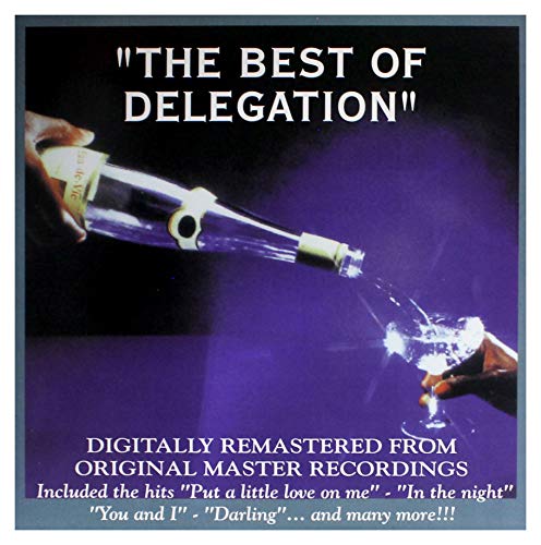 The Best of Delegation [Vinyl LP] von THE SAIFAM GROUP