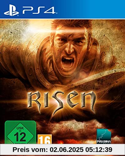 Risen - PlayStation 4 von THQ Nordic