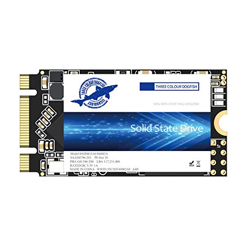 Dogfish SSD M.2 2242 1TB Solid State Drive Ngff Internen Desktop Computer 6Gb/s High Performance Festplatte Desktop Laptop (1TB, M.2 2242) von THREE COLOUR DOGFISH