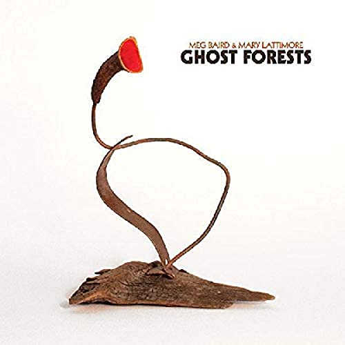 Ghost Forests [Coke Bottle Clear Vinyl] [Vinyl LP] von THREE LOBED RECORDS