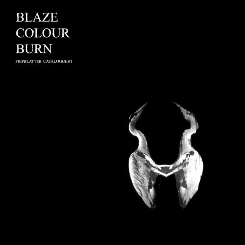 Blaze Colour Burn [Vinyl LP] von THRILL JOCKEY