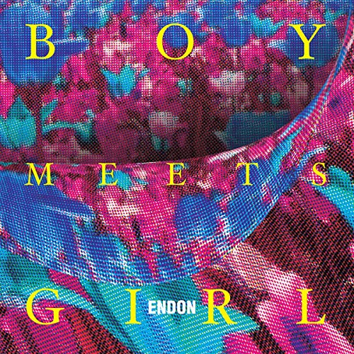 Boy Meets Girl (Lp+Mp3) [Vinyl LP] von THRILL JOCKEY