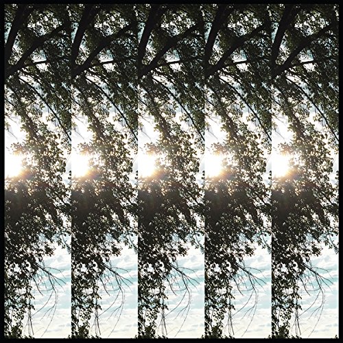 Dialectic of Ignorance [Vinyl LP] von Thrill Jockey Records