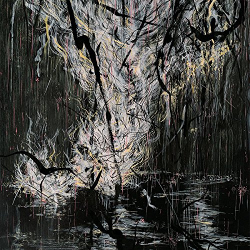 Love in Shadow Love in Shadow von THRILL JOCKEY