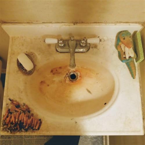 Things Haven't Gone Well [Vinyl LP] von THRILL JOCKEY