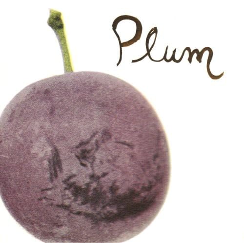 Plum [Vinyl Single] von THRILLJOCKEY