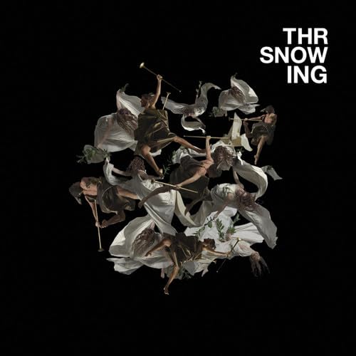 Avarice [Vinyl LP] von THROWING SNOW