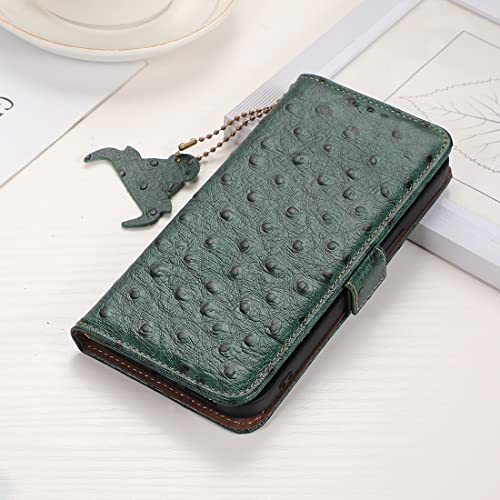TIANYUE echte Ledertasche Hülle für Samsung Galaxy A03 Core mit Kartenfach, Klappbar Flip Hülle, Hülle mit 【RFID -Blockierung】 Schutz Case Handyhülle für Samsung Galaxy A03 Core-grün TIANYUE echte Ledertasche Hülle für Samsung Galaxy A03 Core mit Kartenfach, Klappbar Flip Hülle, Hülle mit 【RFID -Blockierung】 Schutz Case Handyhülle für Samsung Galaxy A03 Core-grün von TIANYUE