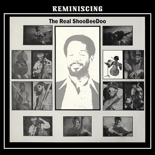 Reminiscing [Vinyl LP] von TIDAL WAVES MUSI