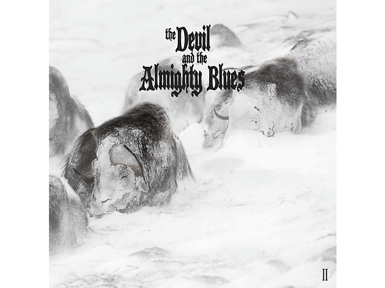 DEVIL AND THE ALMIGHTY BLUES - II (CD) von TIME RUINS