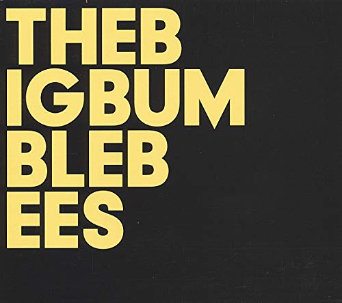 The Big Bumble Bees [Vinyl LP] von TIN ANGEL