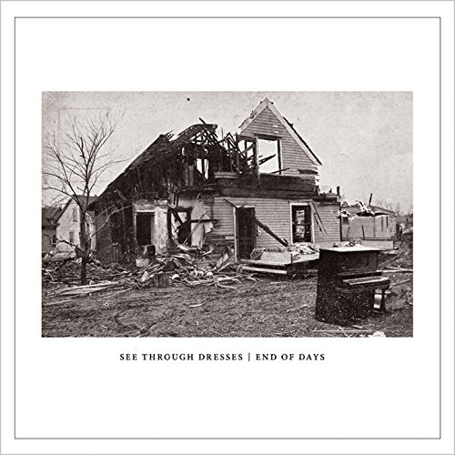End of Days [Vinyl Maxi-Single] von TINY ENGINES
