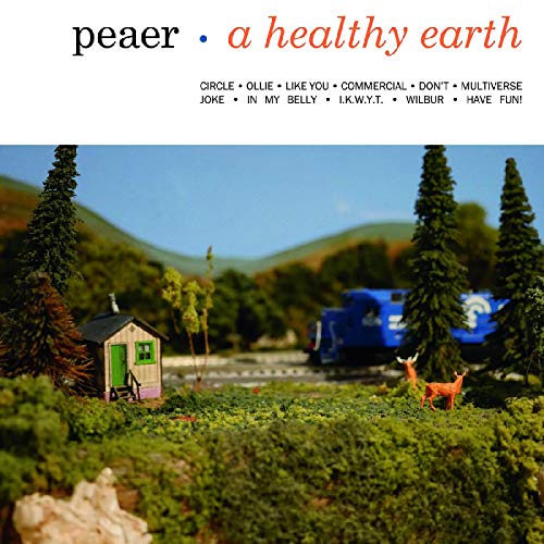 Healthy Earth [Vinyl LP] von TINY ENGINES