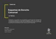 Esquemas De RECHO CONCURSAL 14 ED von TIRANT LO BLANCH DERECHO