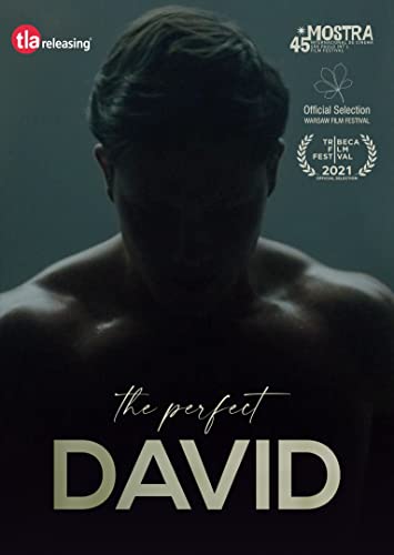 The Perfect David [DVD] von TLA Releasing