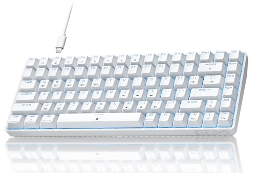 TMKB T84SE Gaming Tastatur, QWERTY US Layout, 84 Tasten Mechanische Tastatur mit Blaue LED, N-Key Rollover Brown Switch Keyboard für PC Windows/Mac OS, Weiß TMKB T84SE Gaming Tastatur, QWERTY US Layout, 84 Tasten Mechanische Tastatur mit Blaue LED, N-Key Rollover Brown Switch Keyboard für PC Windows/Mac OS, Weiß von TMKB Technology Mechanical KeyBoard
