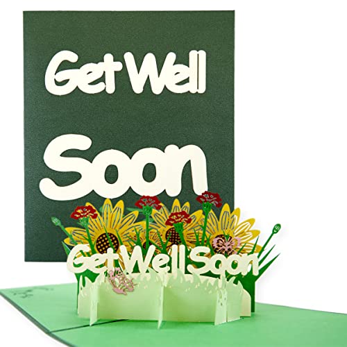 TOG BEG 3D Pop-up Grußkarte mit Motiven Get Well Soon und Blumen, ein liebevolles Geschenk und Gute Besserung für betroffene Person aus Familien, Freunde, oder Kollegenkreis inkl. Umschlag TOG BEG 3D Pop-up Grußkarte mit Motiven Get Well Soon und Blumen, ein liebevolles Geschenk und Gute Besserung für betroffene Person aus Familien, Freunde, oder Kollegenkreis inkl. Umschlag von TOG BEG