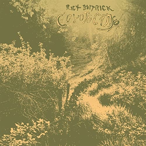 Coyote Canyon [Vinyl LP] von TOMPKINS SQUARE