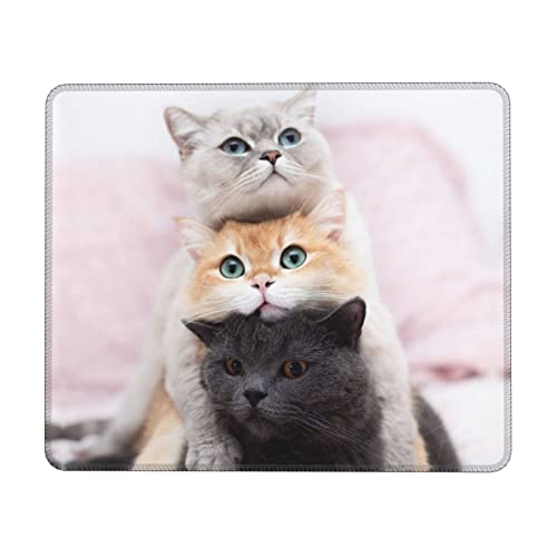 Drei Katzen bedrucktes Mauspad, rutschfeste Gummi-Gaming-Mauspads, kleines Gaming-Mauspad für Heimbüro, Arbeiten, 25,4 x 30,5 cm Drei Katzen bedrucktes Mauspad, rutschfeste Gummi-Gaming-Mauspads, kleines Gaming-Mauspad für Heimbüro, Arbeiten, 25,4 x 30,5 cm von TOMPPY