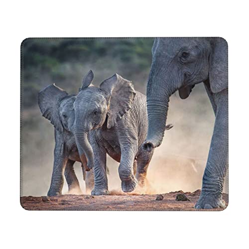 Zwei Elefanten spielen bedrucktes Mauspad, rutschfeste Gummi-Gaming-Mauspads, kleines Gaming-Mauspad für Heimbüro, Arbeiten, 20 x 24 cm von TOMPPY