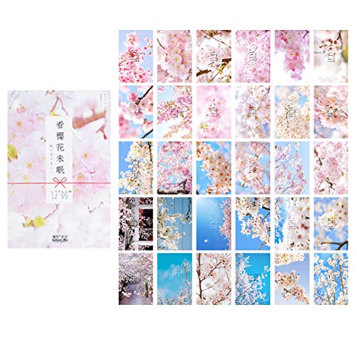 30 Stück 1 Set japanische Landschafts-Postkarten Set Literarische Grußkarten Segen Nachricht Karte Postkarte in Box (Kirschblüten) von TONGTONG