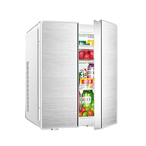 TONPOP Mini-Auto-Kühlschrank, 25 l, Dual-Core-Kühlung, Doppeltür-Design, Zuhause, Schlafsaal, Kühler und Wärmer, Auto, Zuhause, Dual-Use-Mini-Kühlschrank (Silber) von TONPOP