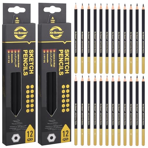 TOPCZY 24 Pcs Künstler Bleistifte, Bleistifte Verschiedene Härtegrade Set of 8B 7B 6B 5B 4B 3B 2B B HB F H 2H, Kohlestifte zum Zeichnen, Skizzieren, Schattieren, Zeichnen, Illustrationen von TOPCZY
