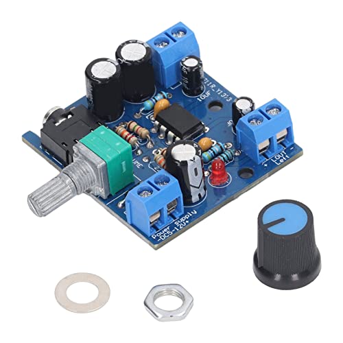 Audio -Verstärker -Board Dual Channel Power Volumenanpassungsmodul für Heimkino Lautsprecher Weiß von TOPINCN