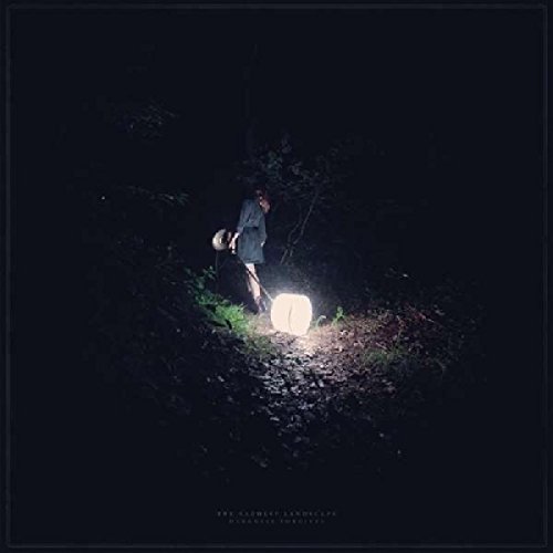 Darkness Forgives [Vinyl LP] von TOPSHELF RECORDS