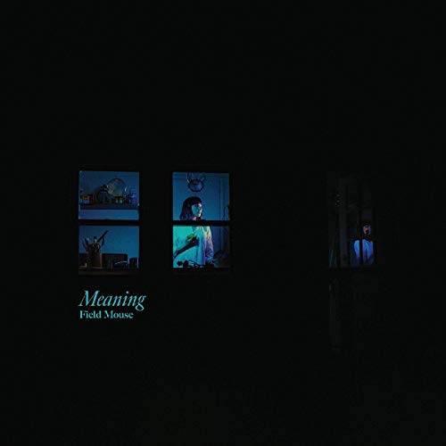 Meaning [Vinyl LP] von TOPSHELF RECORDS