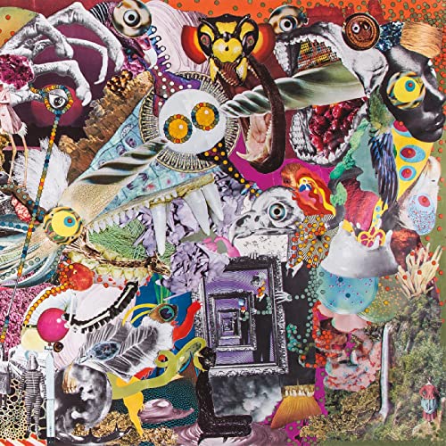 Memory Lame [Vinyl LP] von TOPSHELF RECORDS