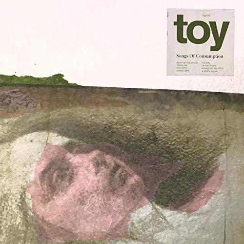 Songs of Consumption [Vinyl LP] von TOUGH LOVE