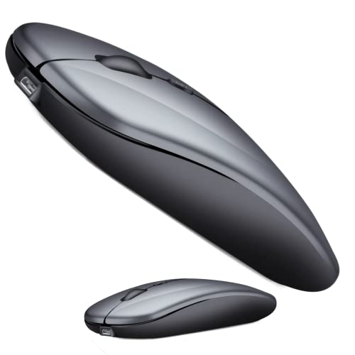 TOVARIN Kabellose Maus, leise, 2,4 G + Bluetooth und USB-Empfänger, für PC, Laptop, Tablet, Windows, iOS und Android, 3 einstellbare DPI-Stufen (Space Grey) von TOVARIN