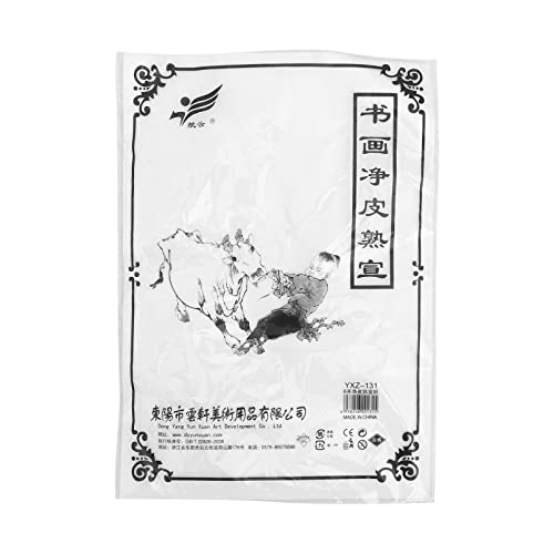 TOYANDONA 50 Blätter Chinesischer Pinsel Kalligraphie Reispapier ohne Raster Sumi Malerei Übungspapier Tinte Stempelpapier für Chinesische Kalligraphie Pinsel Schreiben Sumi Set von TOYANDONA