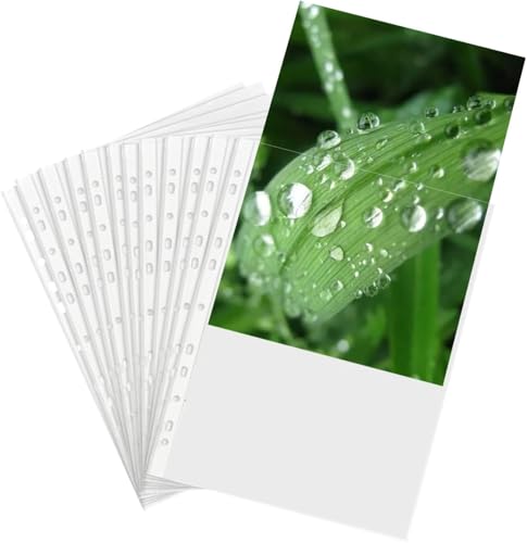 TRANBO Klarsichthüllen, A4, gelocht, transparent, starke Kunststoffhüllen, 80 Mikron, 11 Löcher, Poly-Blattschutz, Dokumentenmappe für A4-Papier, Ordner, Aktenordner, 200 Stück TRANBO Klarsichthüllen, A4, gelocht, transparent, starke Kunststoffhüllen, 80 Mikron, 11 Löcher, Poly-Blattschutz, Dokumentenmappe für A4-Papier, Ordner, Aktenordner, 200 Stück von TRANBO